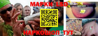 спиды Кинель