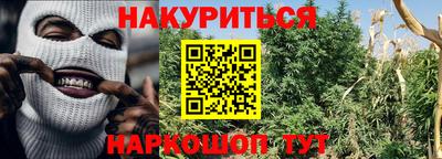гашиш Кингисепп